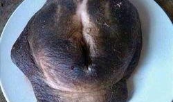 外媒爆料牛宝是谁啊视频,外媒爆料背后的神秘人物